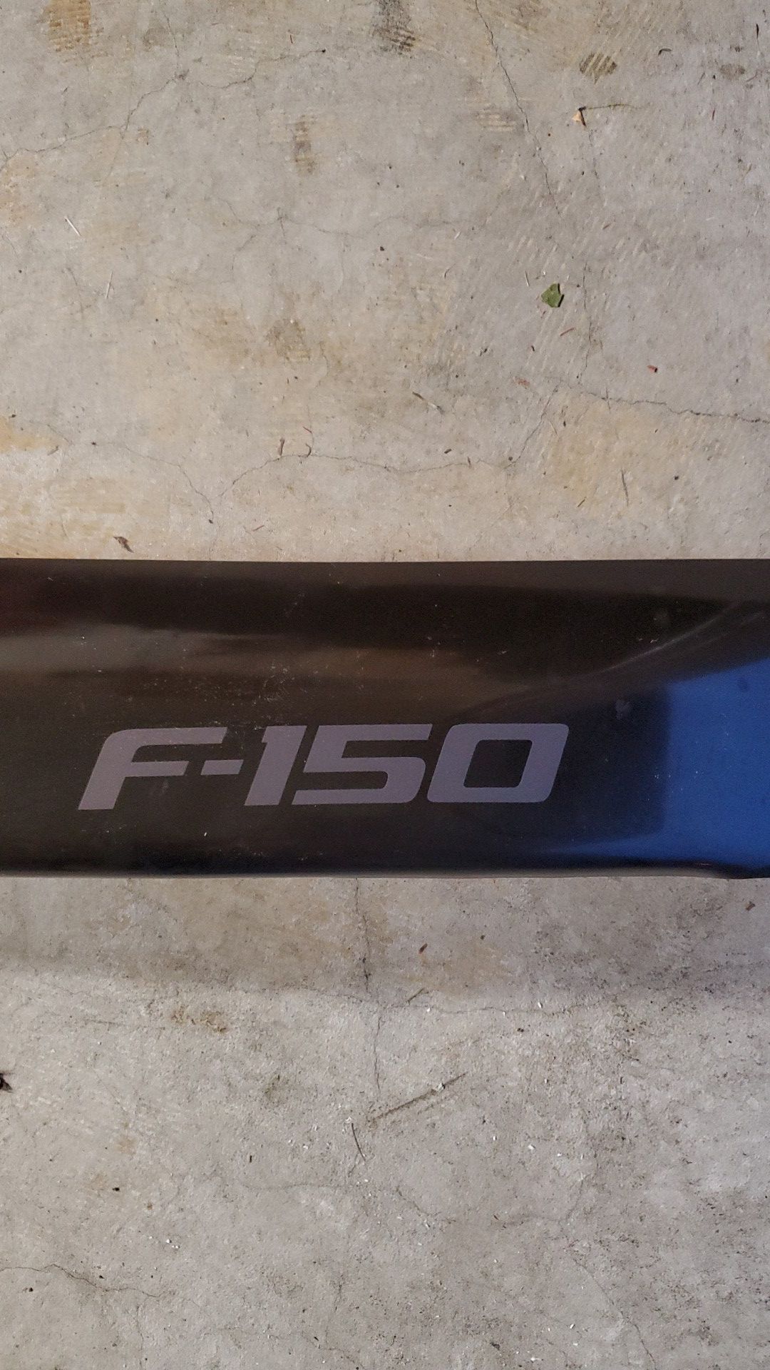 F150 Bug Shield - FREE