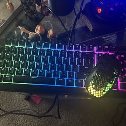 Gaming Steelseries Keyboard And Mouse 