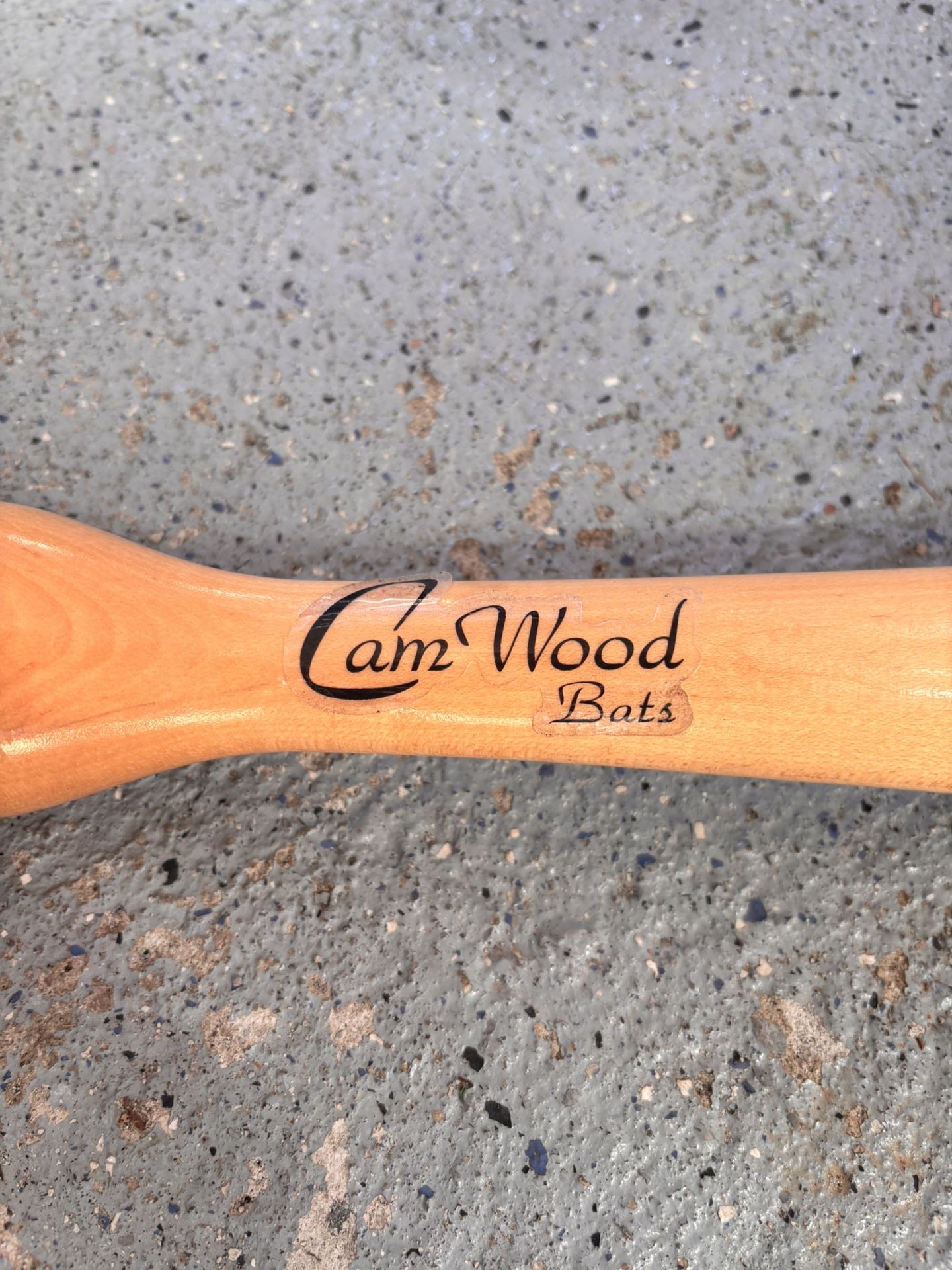 CamWood Training Bat