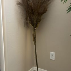 Decorative Tall Dried Plant Stems, 55” Tall 