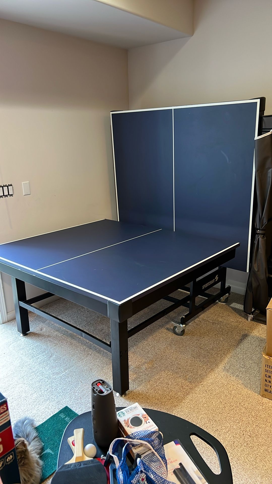 Ping Pong Table