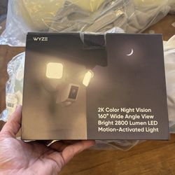 Wyze Cam Floodlight 