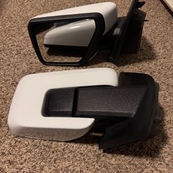 2021-2026 F150 side mirrors with BLISS
