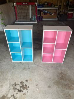 Pink & Blue Matching Bookshelves