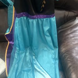Ana Costume ( Frozen 2) 