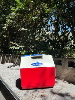 Playmate cooler