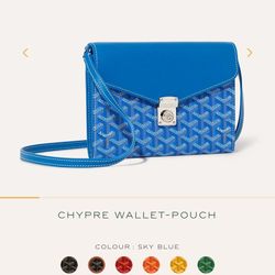 Blue Goyard Bag 
