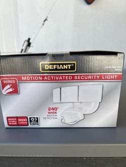 Security Light $45