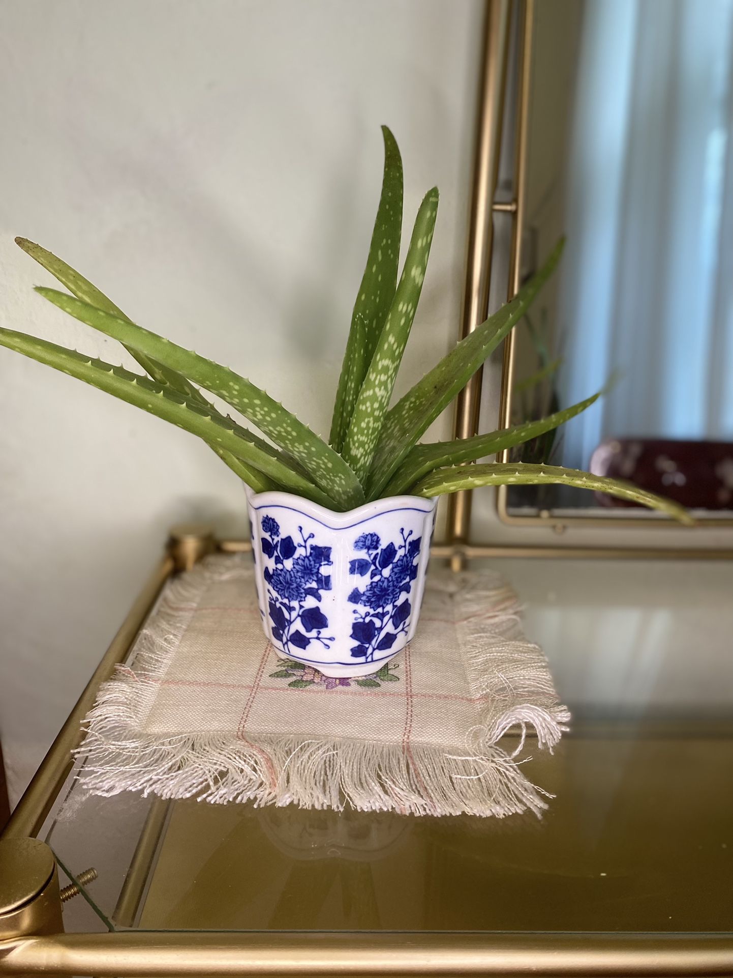 Mini China Plant Pot / Bowl