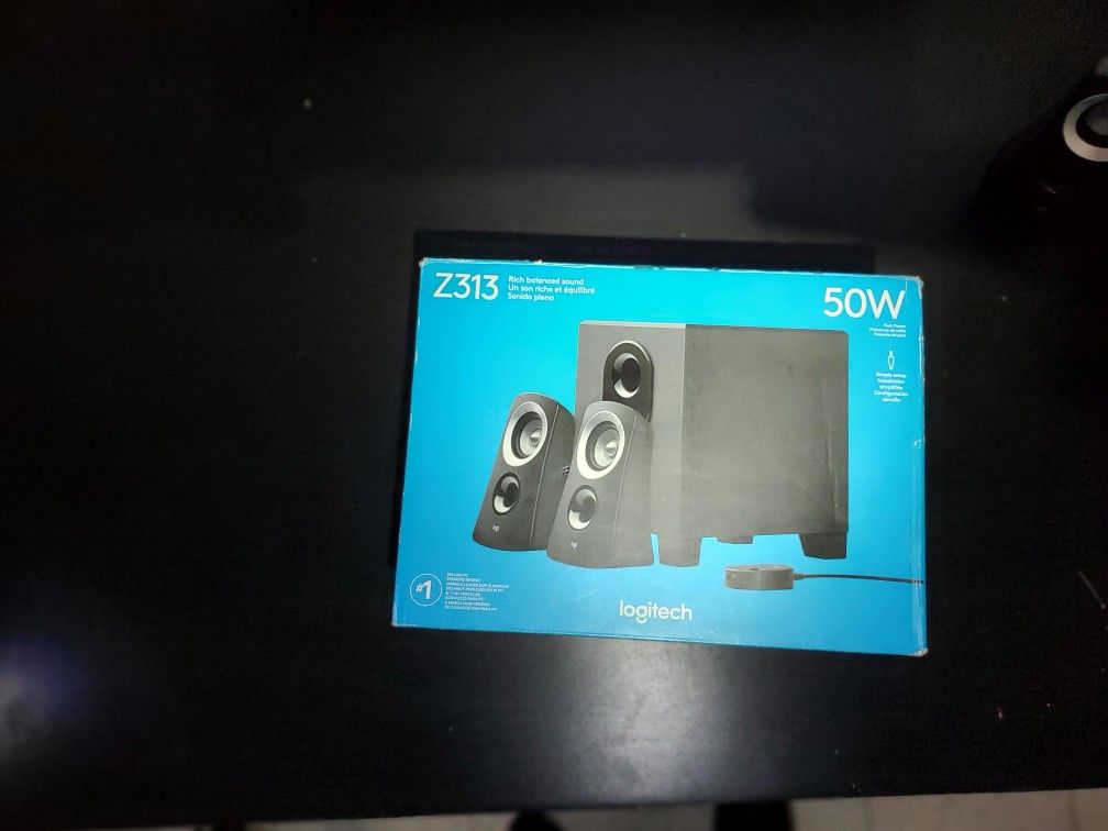 Logitech Z313 speaker system.