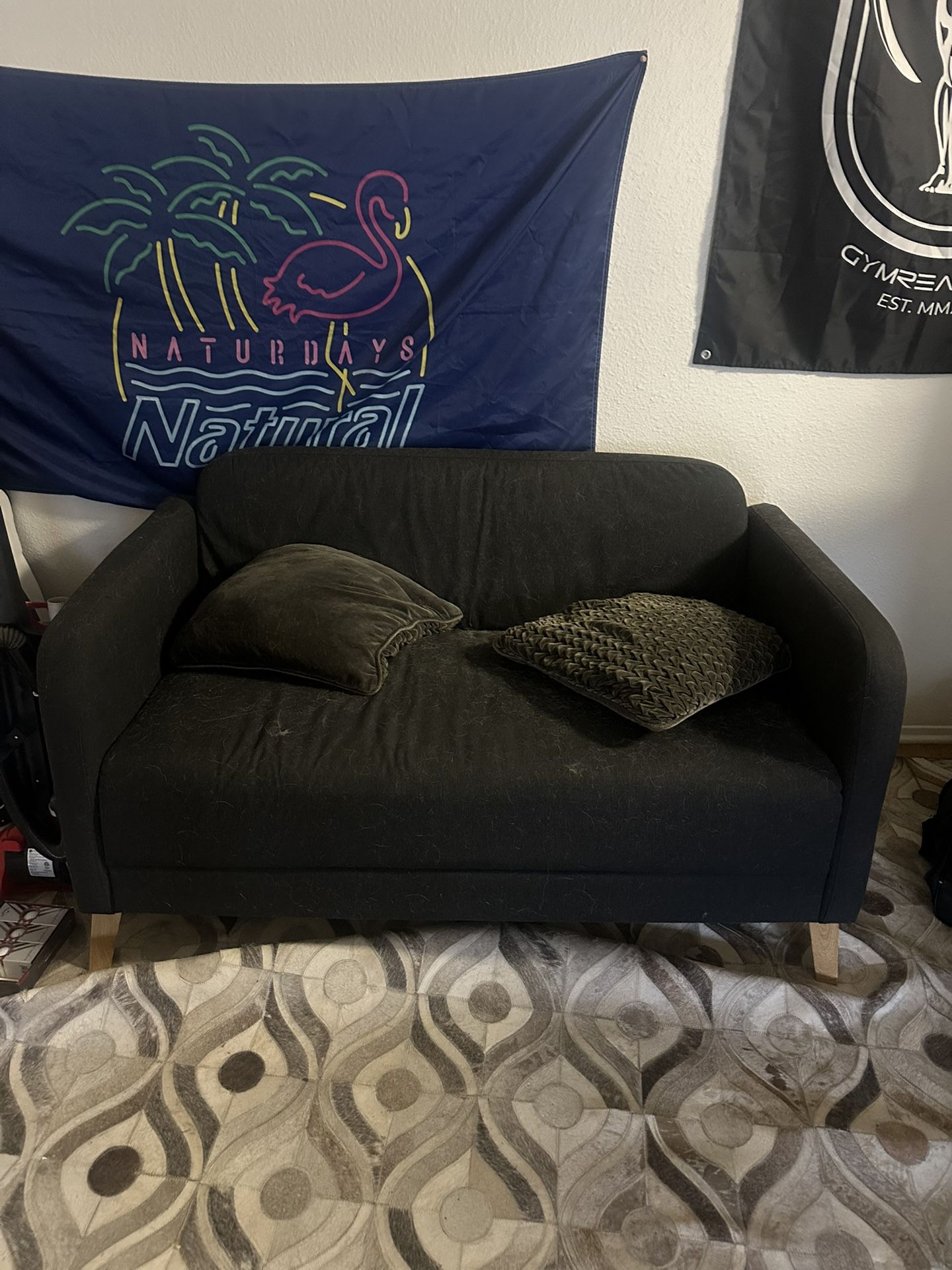 small couch NEED GONE