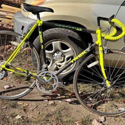 Trek 2300 Pro road bike