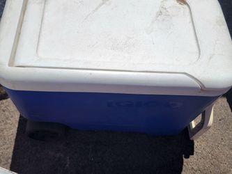 Cooler | chelera