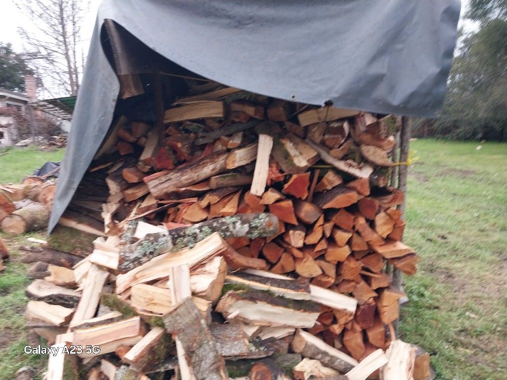 Got Firewood? I Got You What Are You Needs. Let Me Know