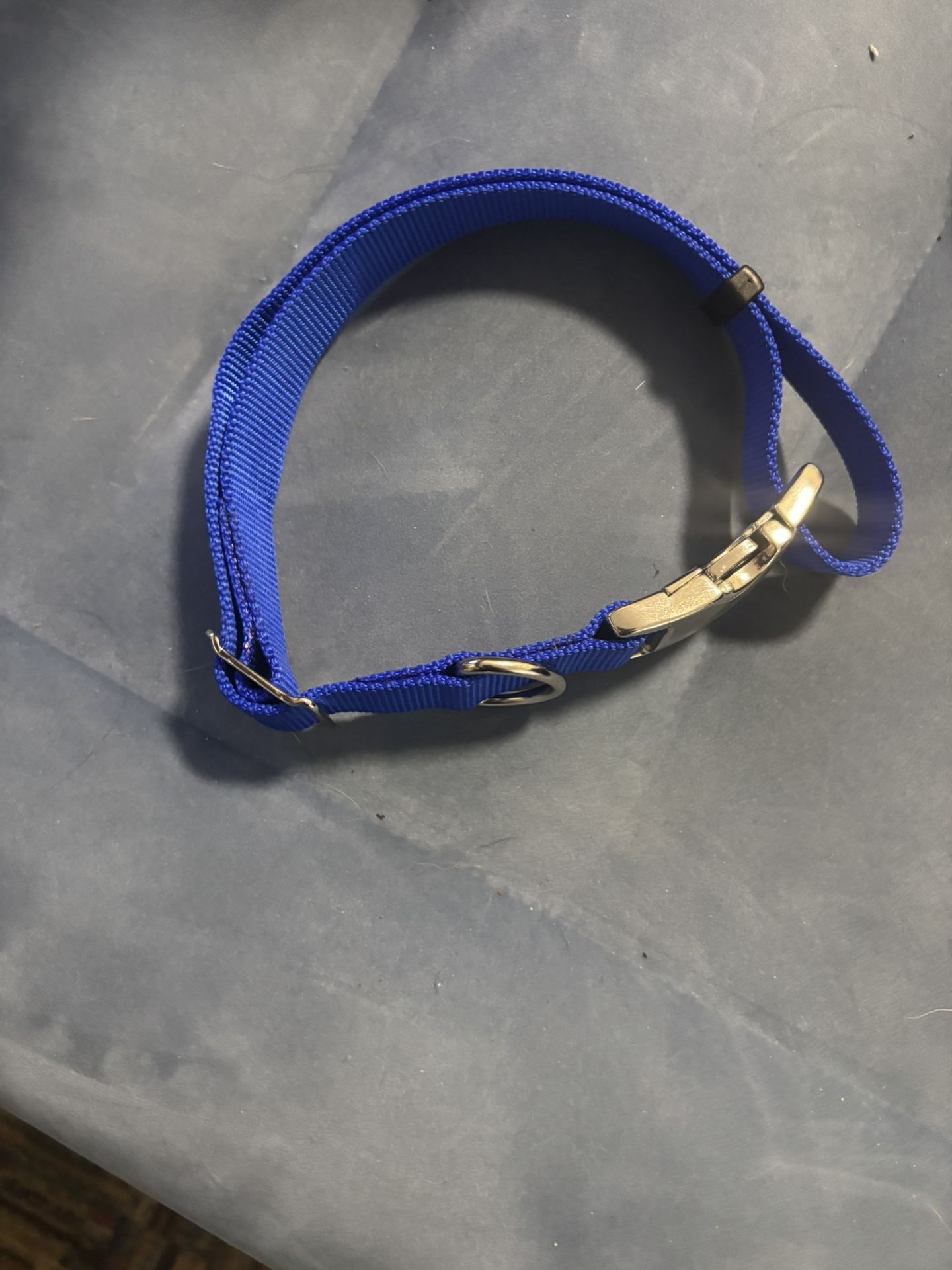 Size Large Dog Harness And Collars