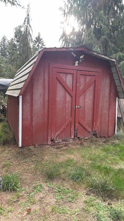 All my  Horse stuff  tack and tack shed