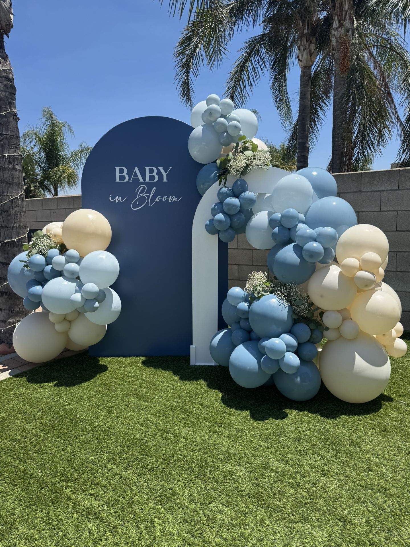 Backdrops Balloons