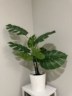 IKEA MONSTERA DELICIOSA (Potted fake plant) for Sale in Los Angeles, CA -  OfferUp
