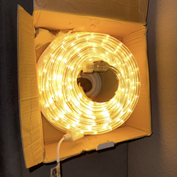 FORT 98.4ft Warm White Rope Light for House