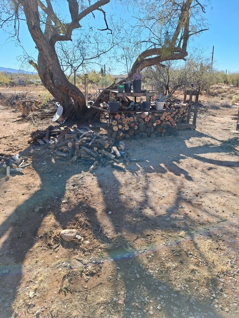 Seasoned Mesquite Firewood for Sale