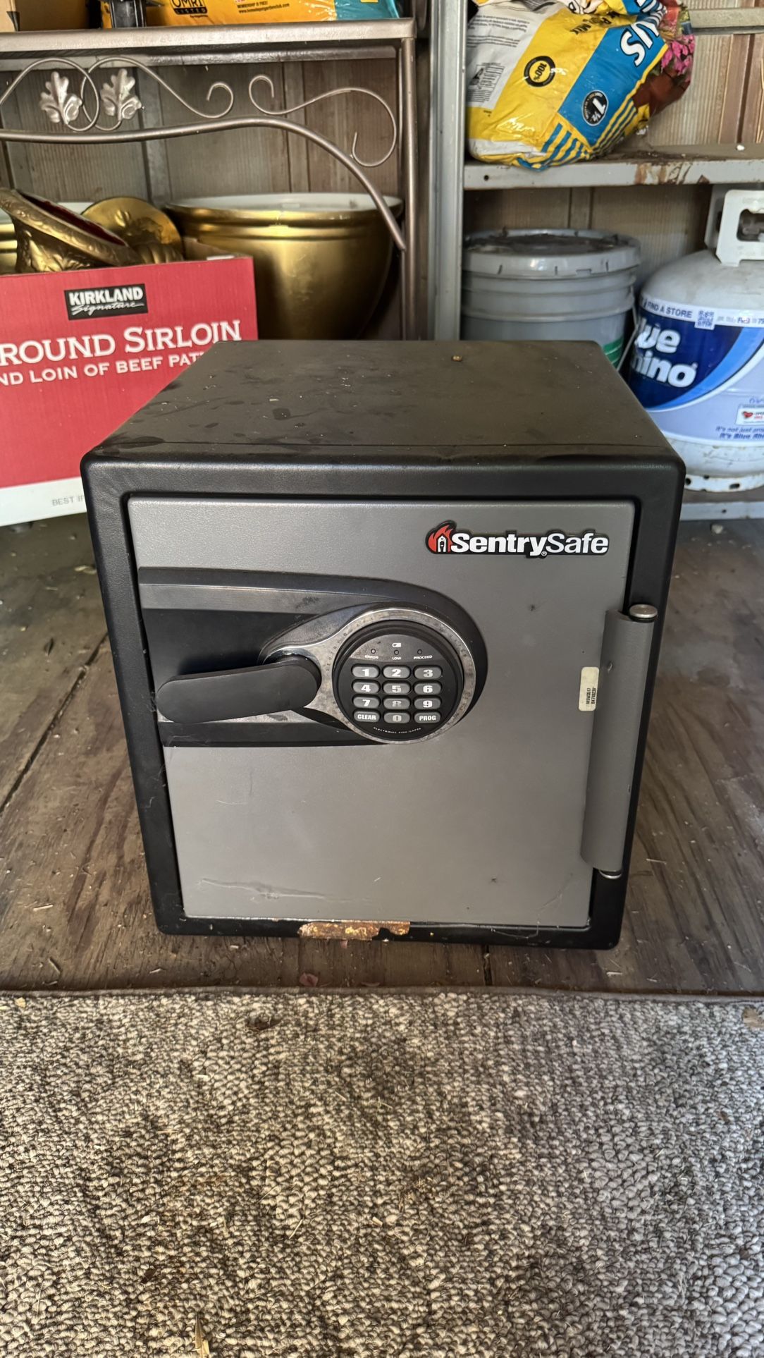 SentrySafe Mountable Safe