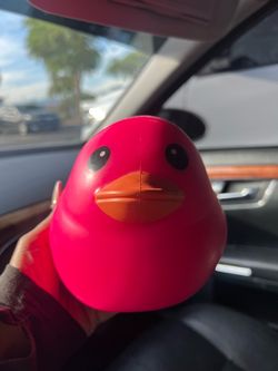 Pink squishy duck