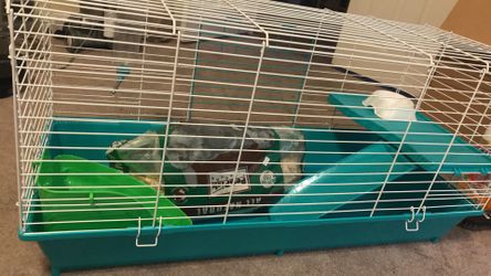 Moss hollow top rabbit cage