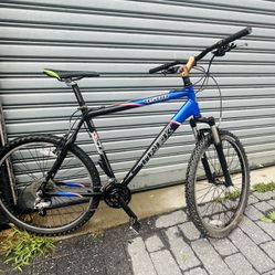 Trek 21 Inch Bike 