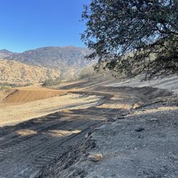 Rector‘S Dozer Work