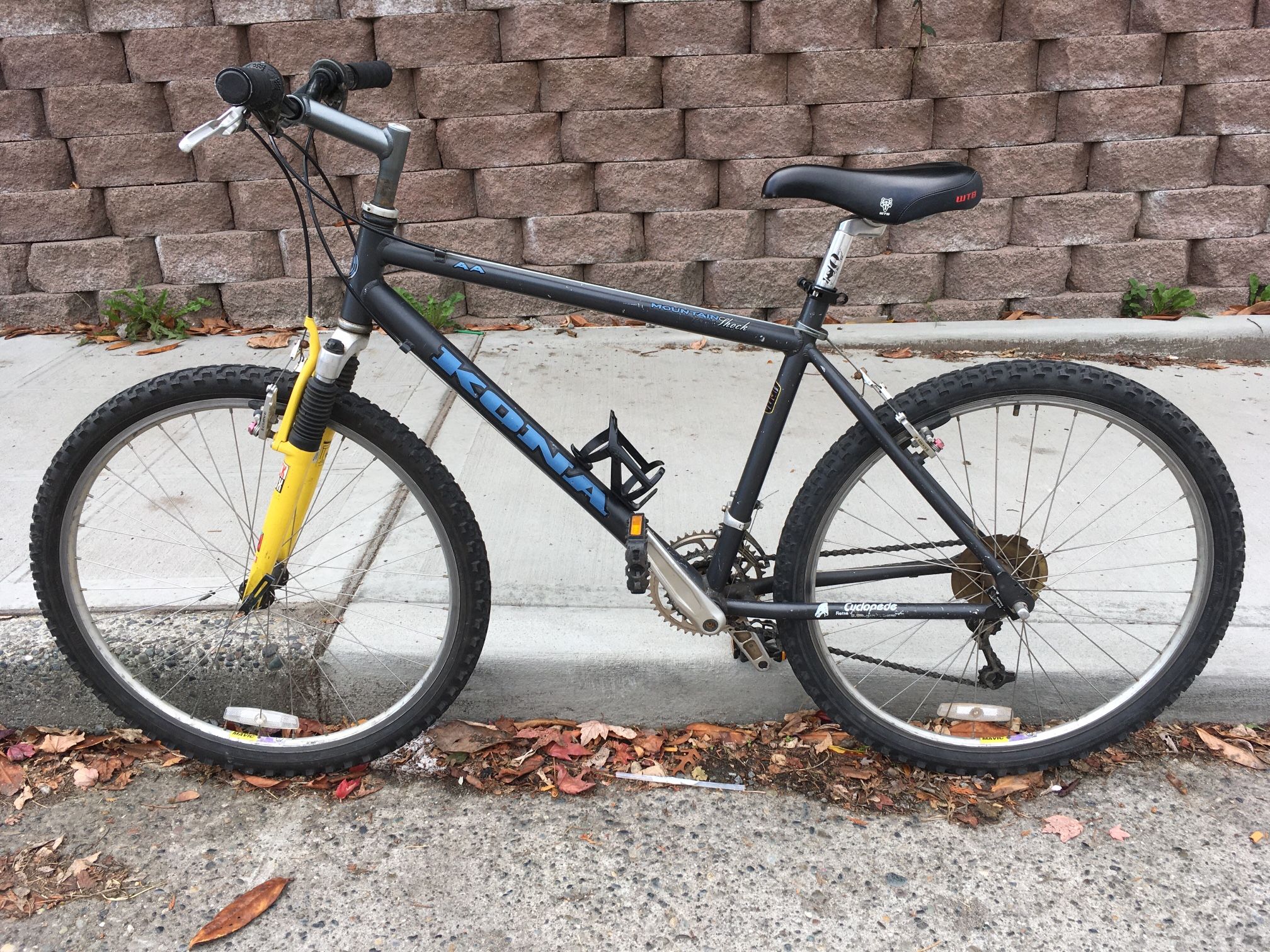 1996 Kona AA Shock Mountain Bike