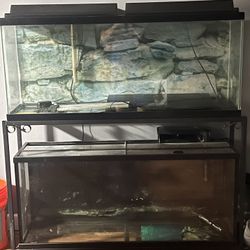 (2) 55 Gallons Fish Tanks With Dual Stand $180 