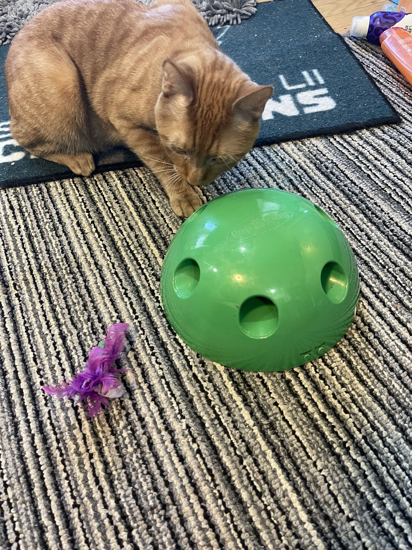 Cat toy INTERACTIVE w/ mouse, batteries & extra feather, $15 like new, more cat stuff 4 sale 19082