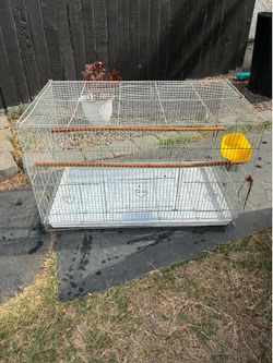 Birdcage