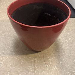 Flower Pot 