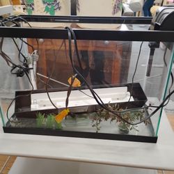 30-gallon fish tank and accessories