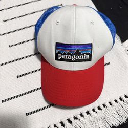 Mens Patagonia Hat