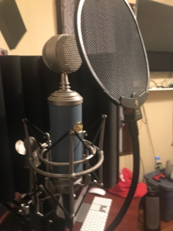 Blue Bird Mic