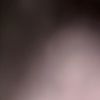 Angelica Carrillo