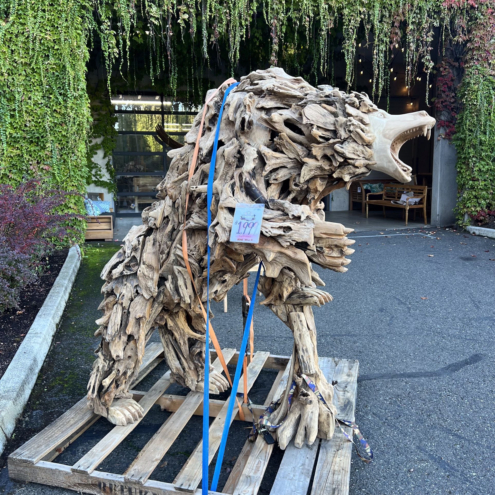 Angry Beast Driftwood Sculpture