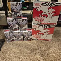 Scarlet And Violet White Flare Pokemon