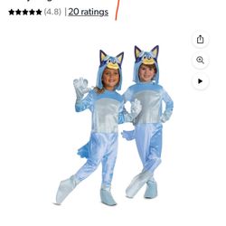 Bluey Costume 3-4T Kids Halloween Birthday . New in store packaging . 