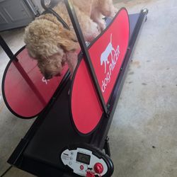 dogPACER LF 3.1 Treadmill for Dog - Exercise Equipment For Full Size Dogs