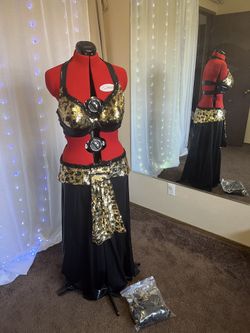 Project  Belly Dance Costume