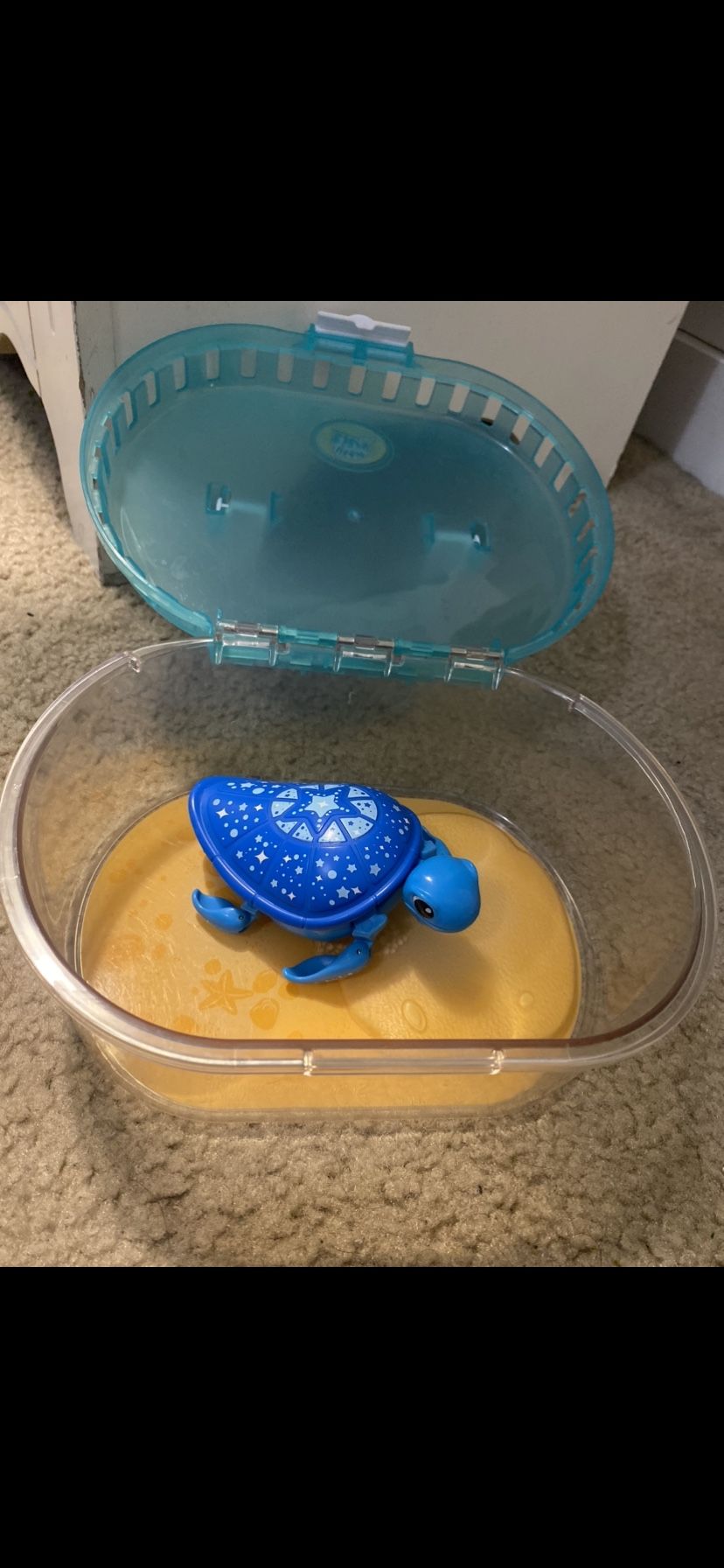 Little Live Pets Starry The Turtle And Tank 