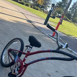 Trailer Bike Co Pilot 