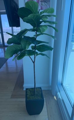 Fiddle Leaf Artificial Tree in Black Planter