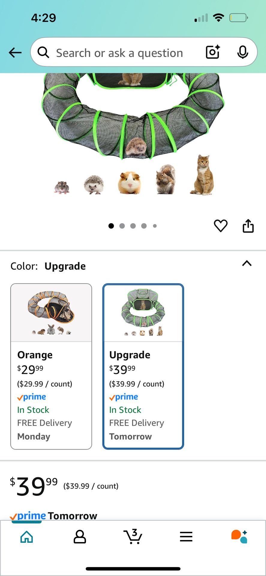 Guinea Pigs