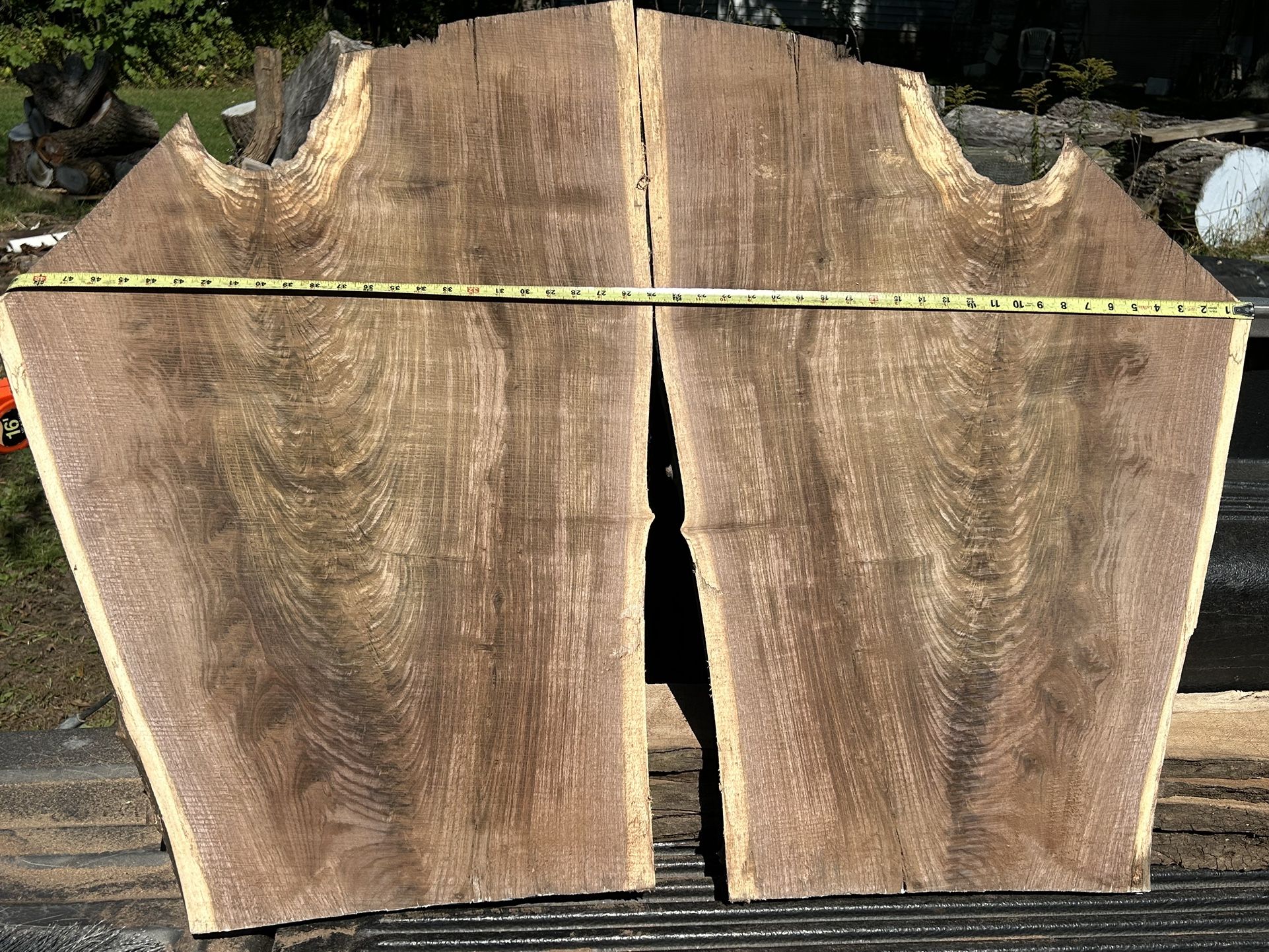 Fantastic Walnut Crotch