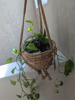 Woven Seagrass Hanging Planter Basket