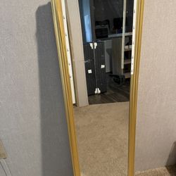Door Mirror